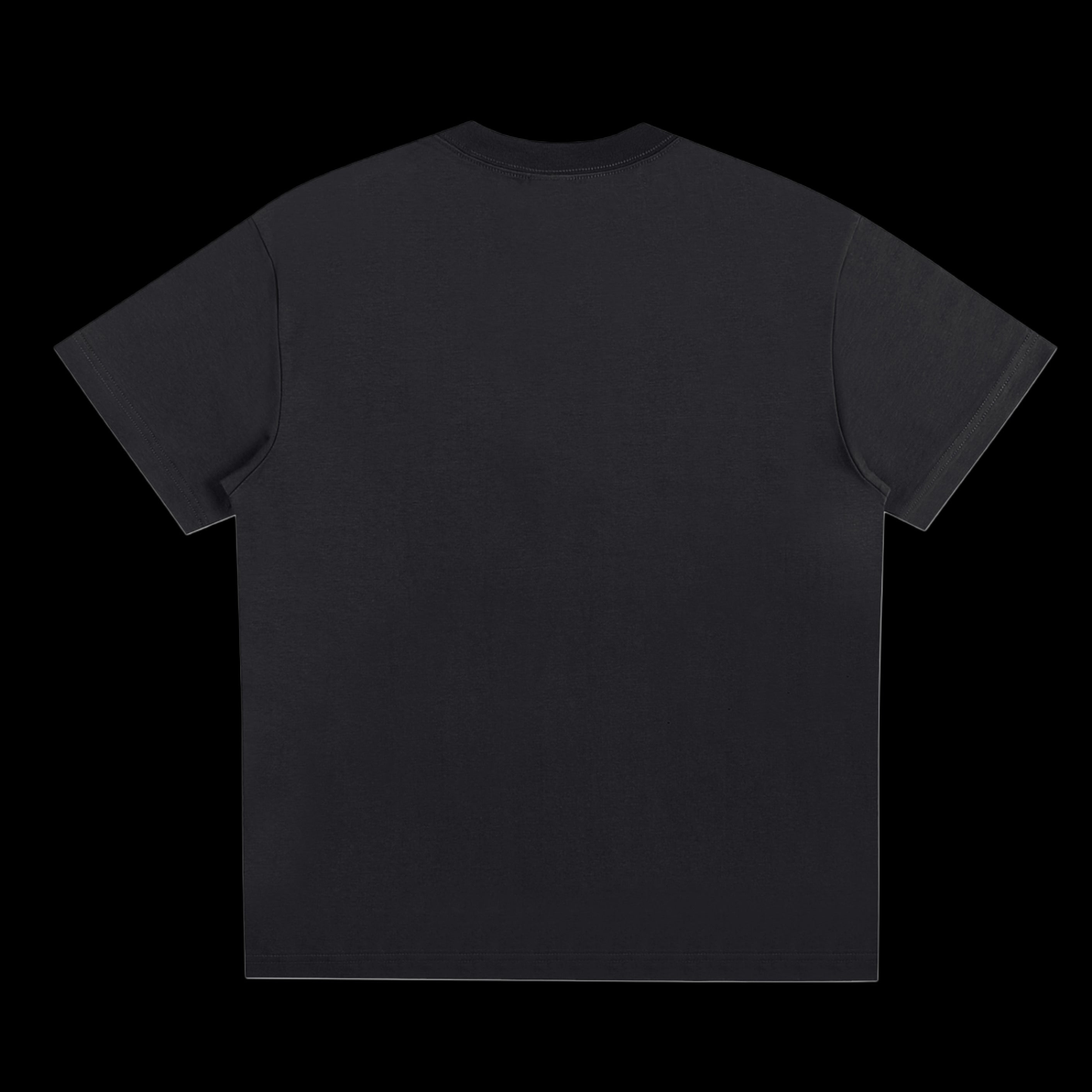 Pulsify Logo Tee (Black)
